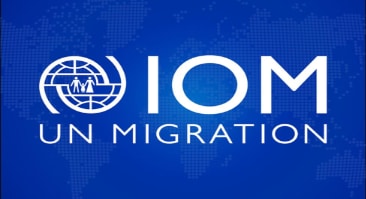 International Organization for Migration
